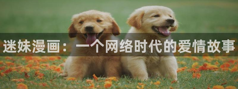 漫画免费51漫画网：迷妹漫画：一个网络时代的爱情故事