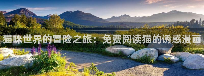 51漫画之家漫画网在线观看：猫咪世界的冒险之旅：免费阅读猫的诱惑漫画