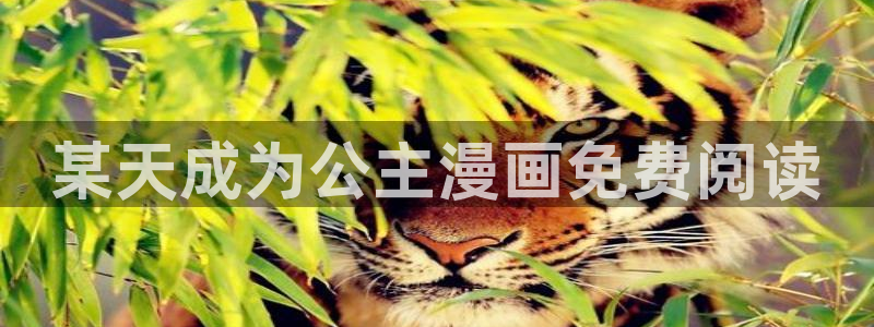 漫画台51漫画大全：某天成为公主漫画免费阅读