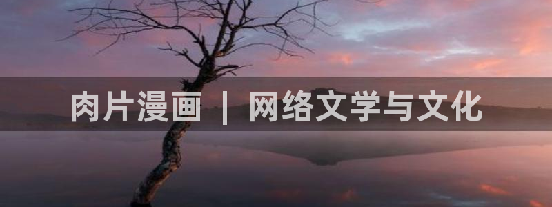 51漫画3d网站：肉片漫画  |  网络文学与文化