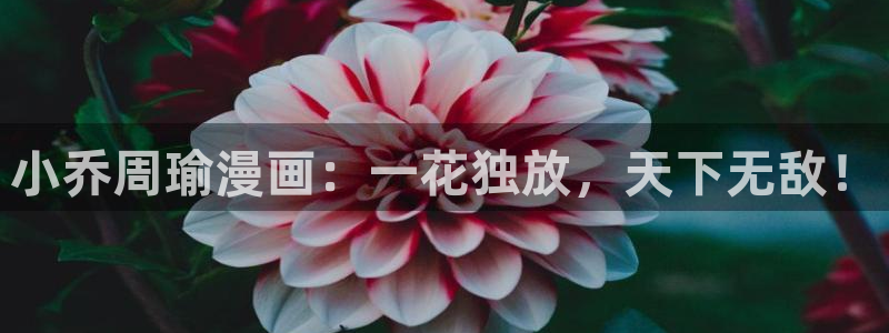 h51漫画免费观看