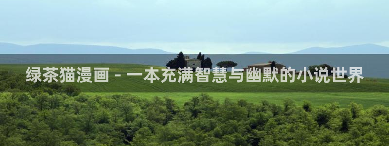 51漫画网站有哪些